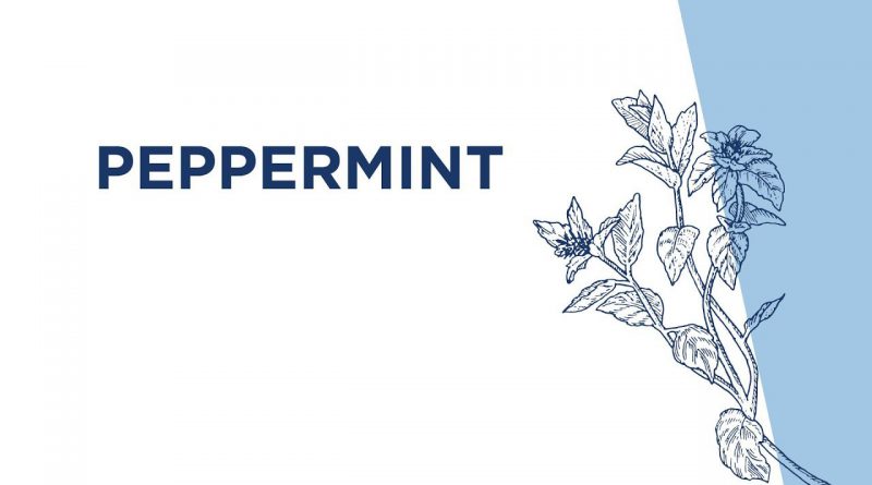 Peppermint Essential Oil Usage