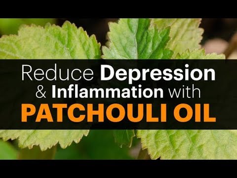 WOW WOW WOW Surprising health benefits of Patchouli essential oil