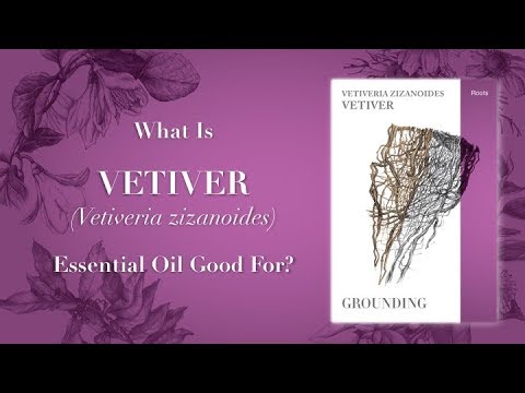 What is Vetiver Essential Oil Good For
