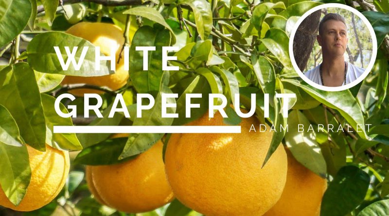 White Grapefruit - The Oil of Divinity