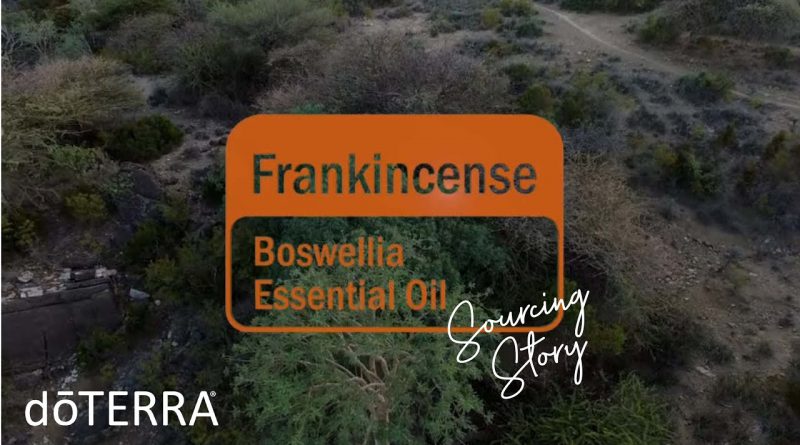 doTERRA Frankincense Sourcing Story