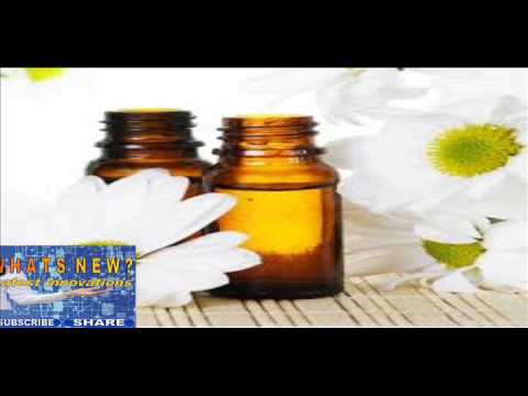Essential Oil Top 10 benefits for Roman chamomile