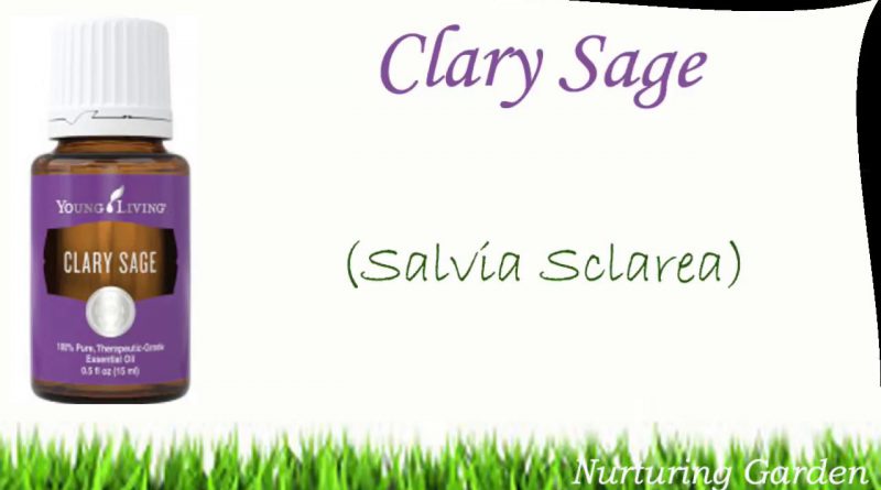 Essential Oils 101: Clary Sage