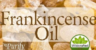 Frankincense Essential Oil ~ All You Need To Know!