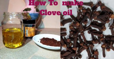 HOW TO MAKE CLOVE OIL AT HOME ||EASY||AFFORDABLE