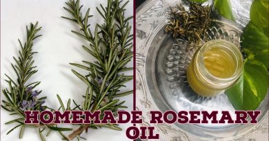 How to make  Rosemary oil at Home ||  DIY Hair Growth oil