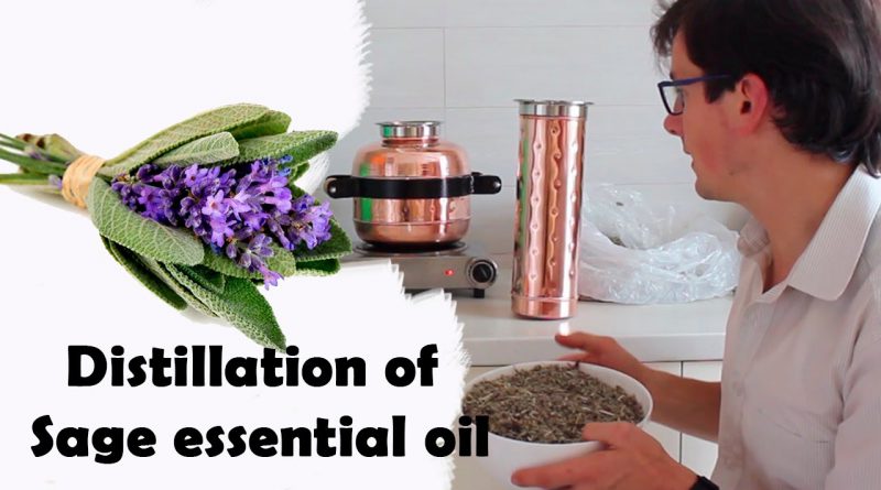 How to make clary sage essential oil at home using copper still - Steam distillation shown