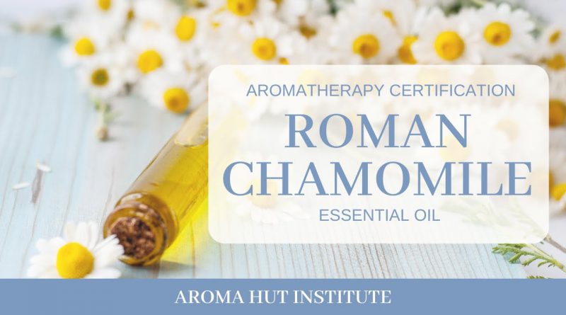 Roman Chamomile Essential Oil Uses and Benefits