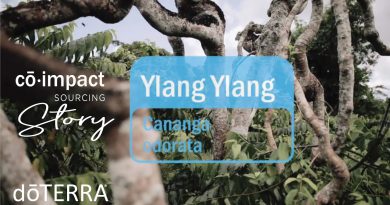 Ylang Ylang Essential Oil - doTERRA Sourcing Story