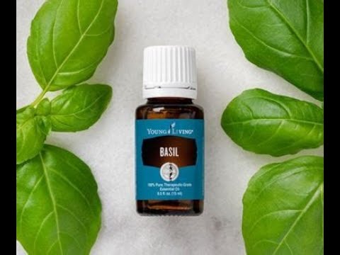 Benefits of Basil essential oil