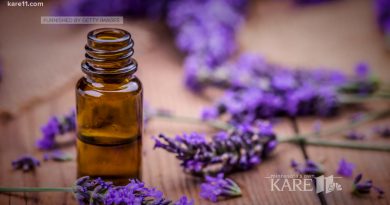 Does lavender essential oil help you sleep?