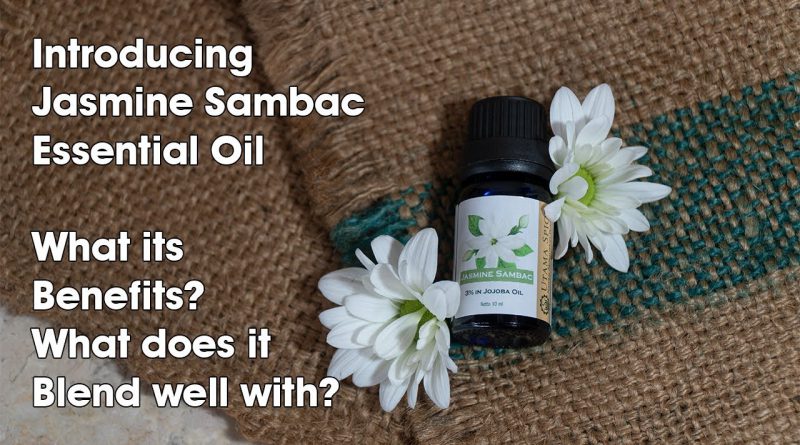 Introducing Jasmine Sambac Essential Oil