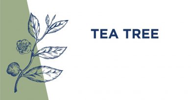 Tea Tree Essential Oil Usage