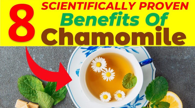 8 Chamomile Benefits You Must Know Before Use It | Scientifically Proven