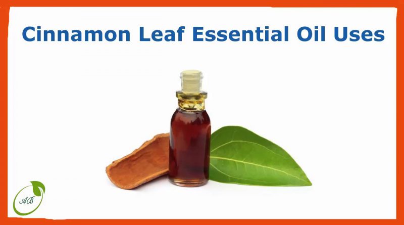 Cinnamon leaf essential oil uses