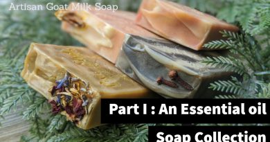 Clove & Sweet Orange Essential Oil | Goat Milk Soaps| Part I ♥️ Pixie Suds