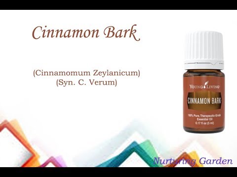Essential Oils 101: Cinnamon Bark