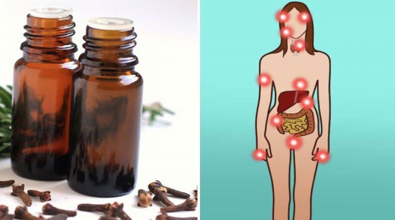 If You're Not Using Clove Oil You're Missing Out - Here Are 10 Things You Need To Know