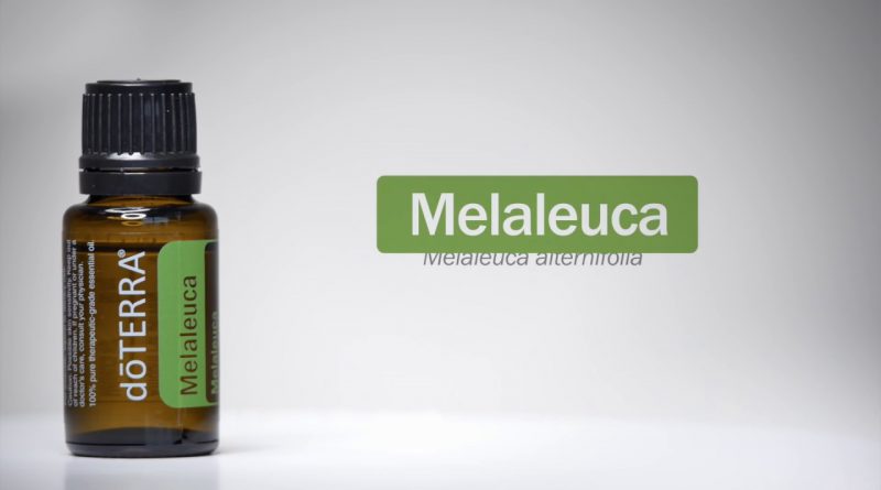 doTERRA® Melaleuca (Tea Tree) Oil Uses and Benefits