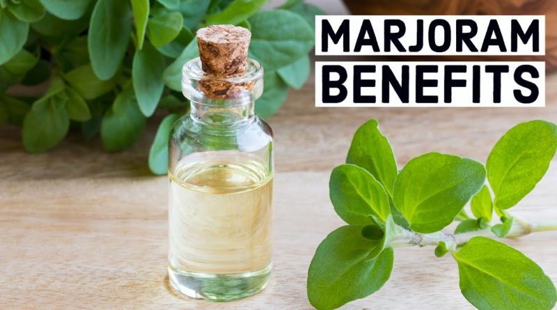 10 Amazing Health Benefits And Uses Of Marjoram
