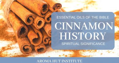 Cinnamon's History and Spiritual Significance | Essential Oils of the Bible