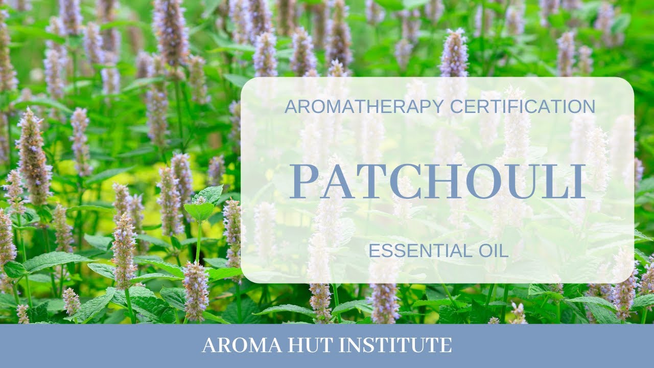 Patchouli Essential Oil Benefits and Uses Anita Fincham