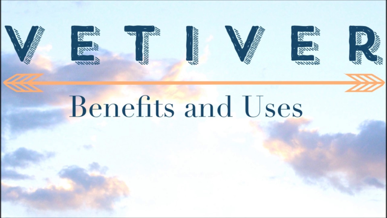 Vetiver Oil Benefits and Uses Anita Fincham Aromatherapy Massage