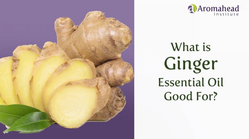 What is Ginger Essential Oil Good For?