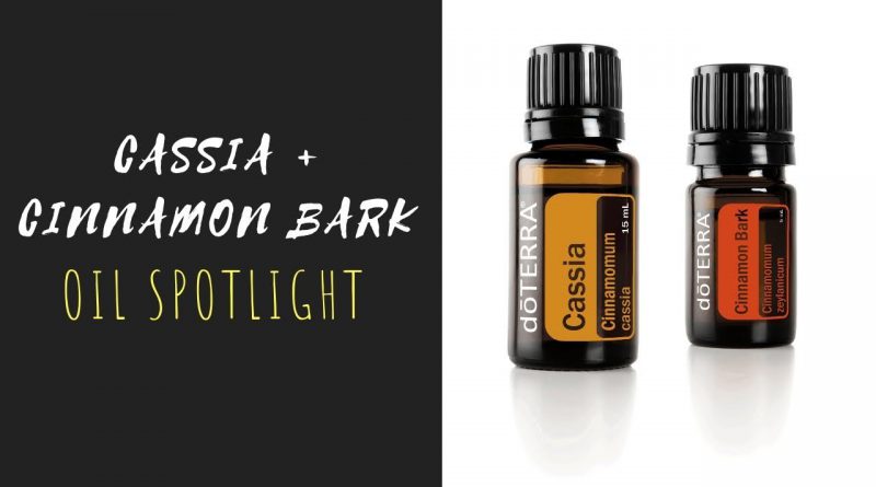 Cassia and Cinnamon Bark - doTERRA Essential Oil Spotlight