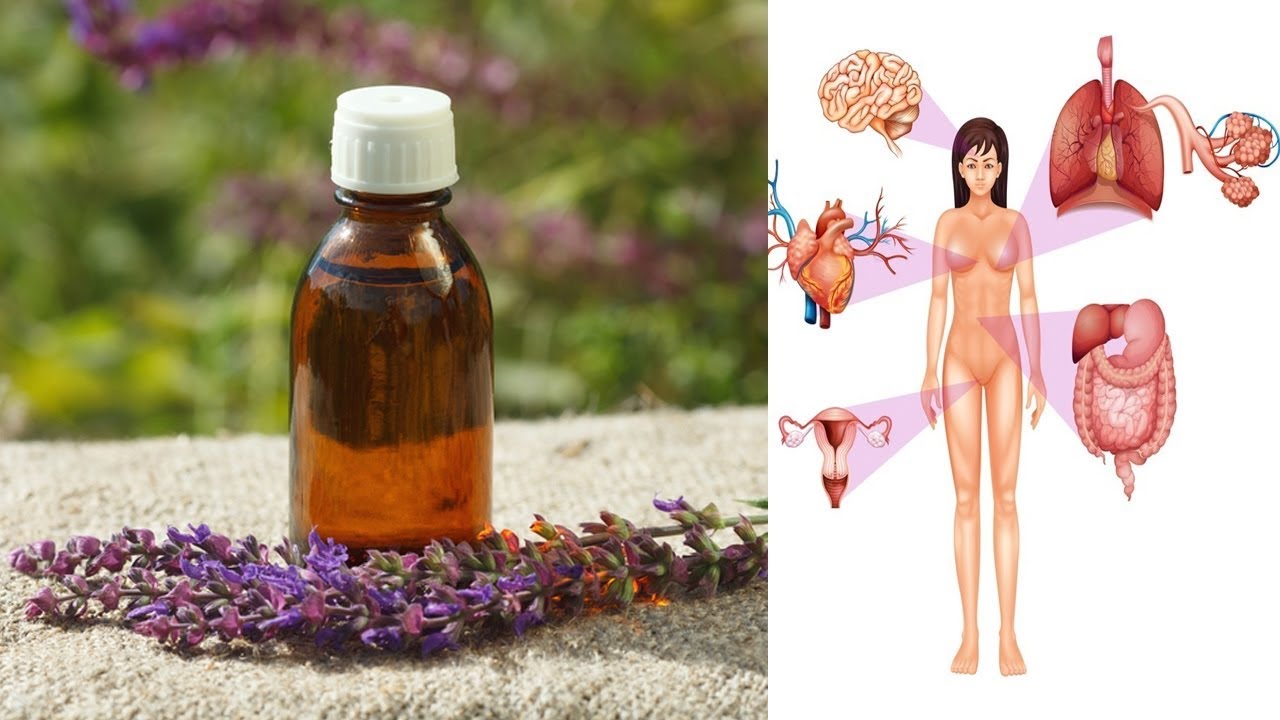 Clary Sage Essential Oil - 6 Amazing Benefits