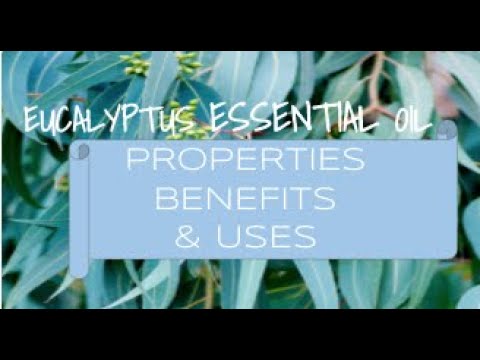 Eucalyptus Essential Oil - Benefits & Uses