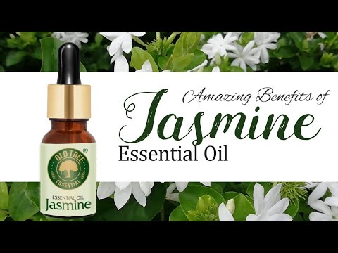 Old Tree Jasmine Essential Oil For Hair Care.