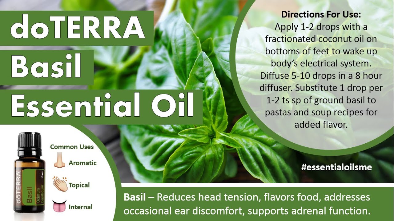 Outstanding doTERRA Basil Essential Oil Uses