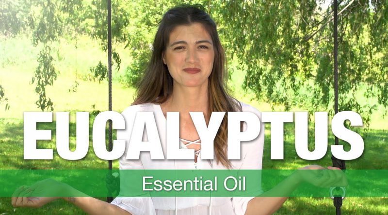 Essential Oil Series - Eucalyptus