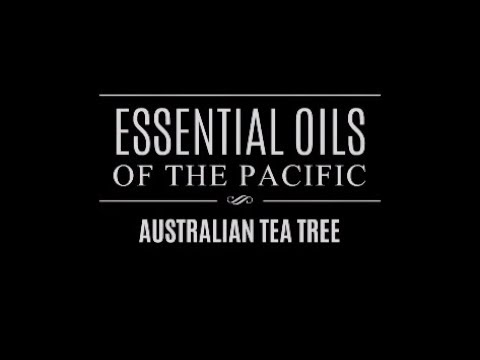 Essential Oils of the Pacific: Australian Tea Tree