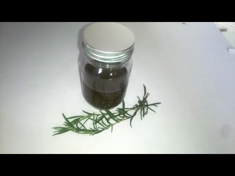 Homemade Rosemary Oil Recipe: How to Make Rosemary Oil at Home for Hair growth and Skin | Benefits