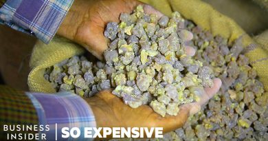 Why Frankincense And Myrrh Are So Expensive | So Expensive