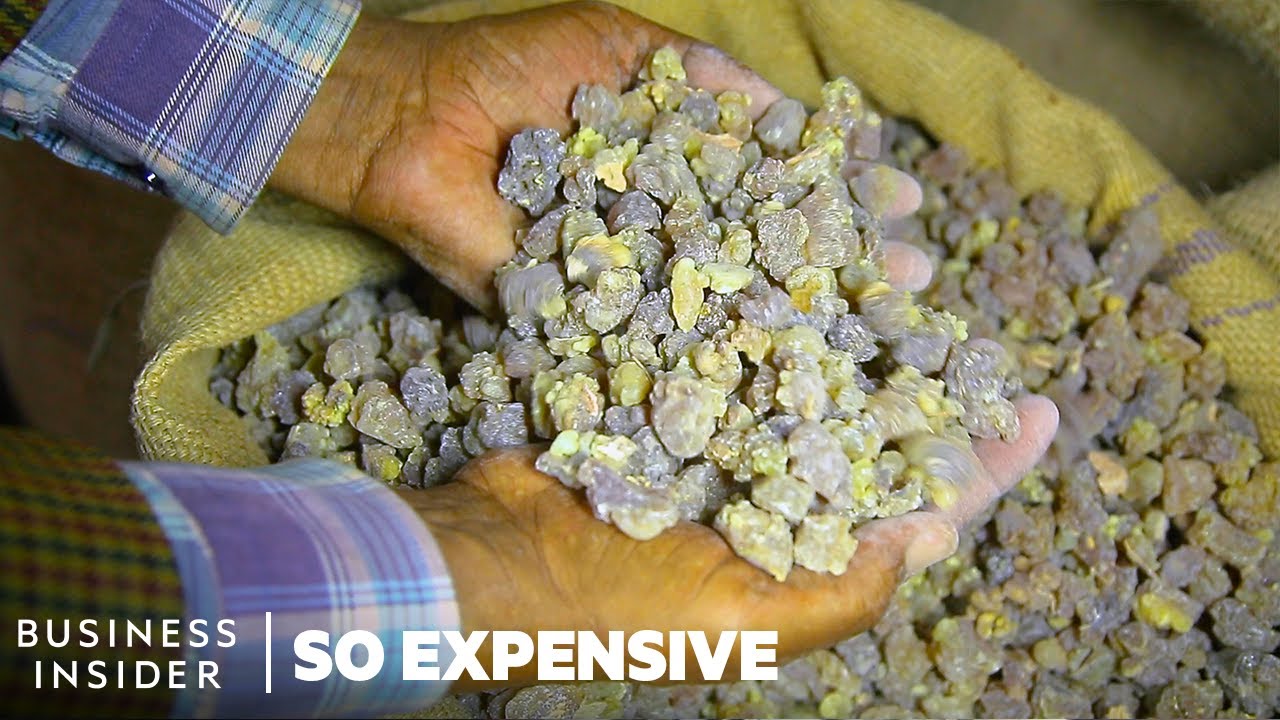 Why Frankincense And Myrrh Are So Expensive | So Expensive