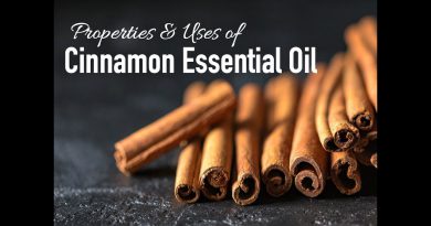 Properties and Uses of Cinnamon Bark Essential Oil